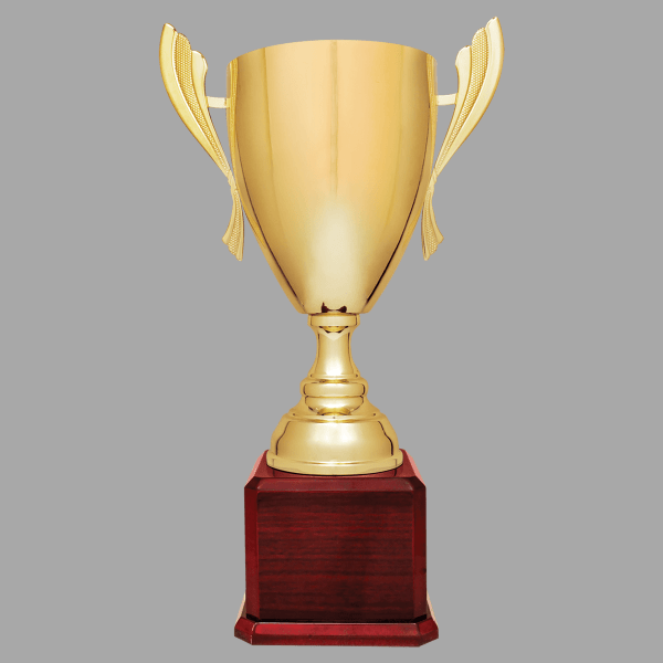 22" 930 Series Metal Cup Trophy – item CMC930G