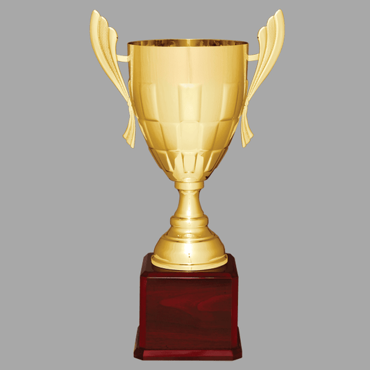 22" 934 Series Metal Cup Trophy – item CMC934G