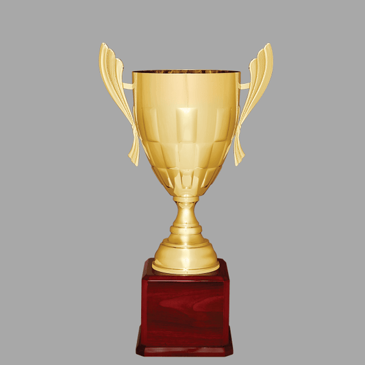 24.75" 935 Series Metal Cup Trophy – item CMC935G