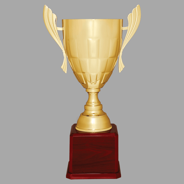 26.5" 936 Series Metal Cup Trophy – item CMC936G