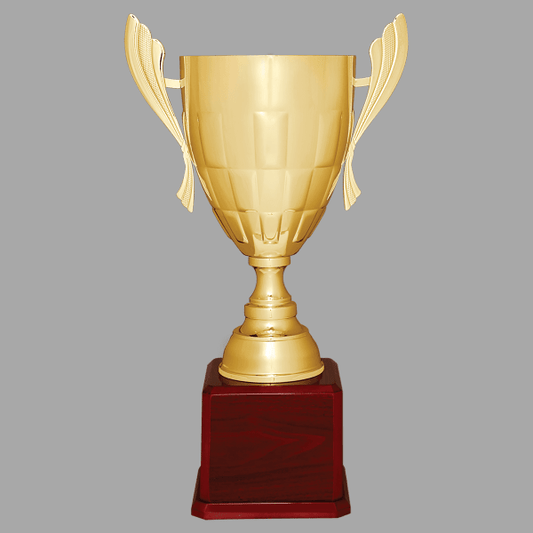 26.5" 936 Series Metal Cup Trophy – item CMC936G