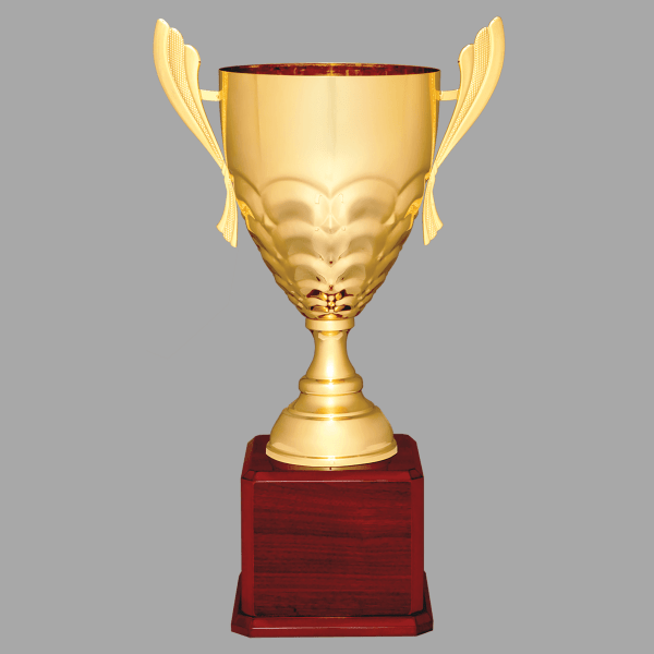21" 938 Series Metal Cup Trophy – item CMC938G
