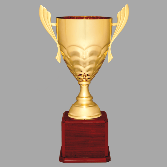 21" 938 Series Metal Cup Trophy – item CMC938G