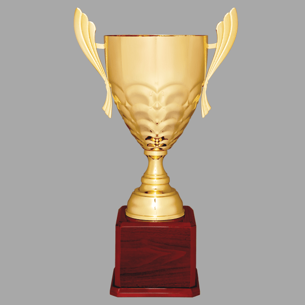 25.25" 940 Series Metal Cup Trophy – item CMC940G