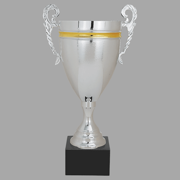 16.75" Silver with Gold 962 Series Cup Trophy – item CMC962
