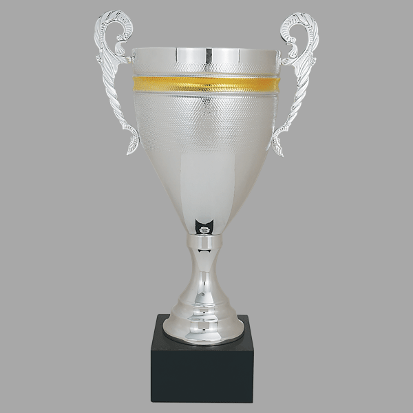 17.75" Silver with Gold 963 Series Cup Trophy – item CMC963