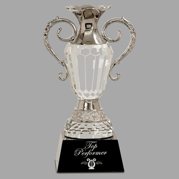 10" Crystal Cup with Silver – item CRY062L
