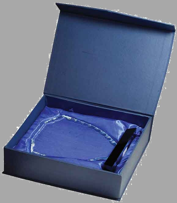 6.5" Shield Facet Glass on Black Base Award – item FC41 image 4