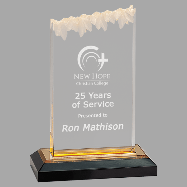 5" X 7 Frosted Imprs Acrylic Award – item IMP402G image 2
