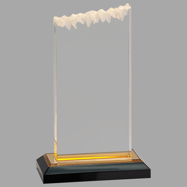 5" X 8 Frosted Imprs Acrylic Award – item IMP403G image 2