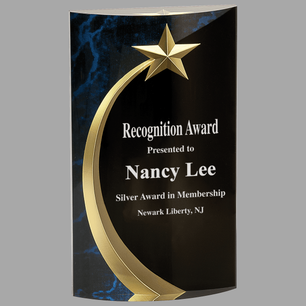 7.75" Rnd Shoot Marble Acrylic Award – item SHS3BM