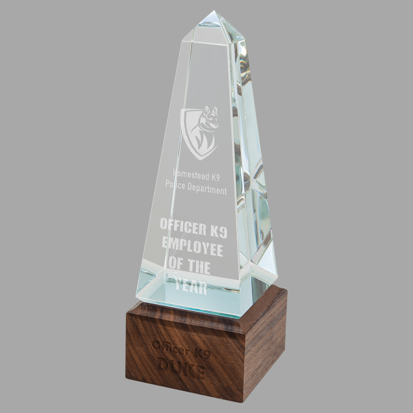 9" Obelisk Sierra Glass Award – item SRG10
