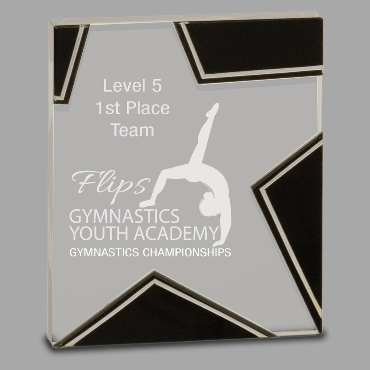 6 3/4" Silver and Black Star Glass — STG13