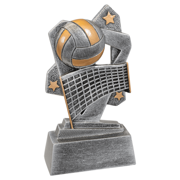 5.5" Vollyball Triumph Resin Award – item TR116