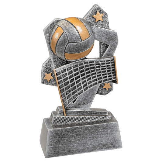 5.5" Vollyball Triumph Resin Award – item TR116