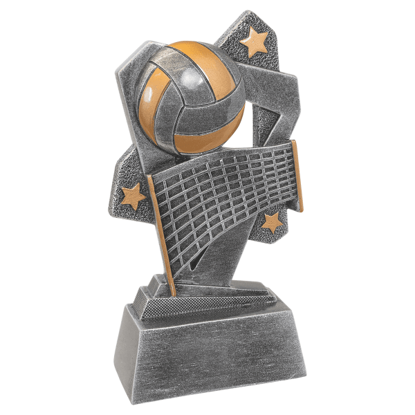 6.5" Vollyball Triumph Resin Award – item TR166