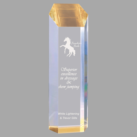 3" x 10" Gold Tower Acrylic — TWR32G